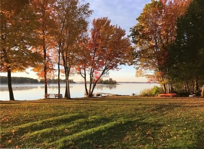 近期，緬因大學(xué)、新英格蘭林業(yè)基金會(huì )和美國林務(wù)局的研究人員，對緬因州北部大部分屬于私有商業(yè)林的7萬(wàn)畝森林進(jìn)行建模研究后，最終根據研究結果，發(fā)布了一項有關(guān)緬因州森林碳吸收的新發(fā)現。
